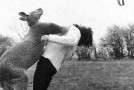 Throat Punch Thursday ~ Mama’s Got the Flu Edition