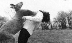Throat Punch Thursday,Abercrombie & Fitch, Mike Jeffries