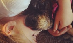 dream, dog, loss, back-to-school
