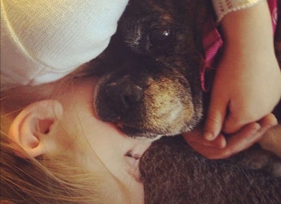 dream, dog, loss, back-to-school