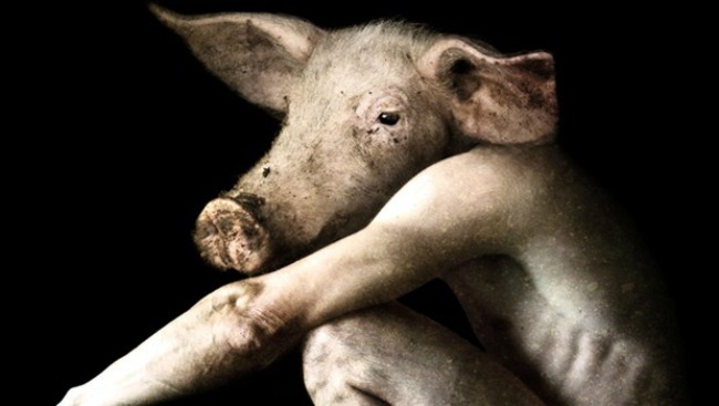 misogyny, misogynist, robin thicke,miley cyrus