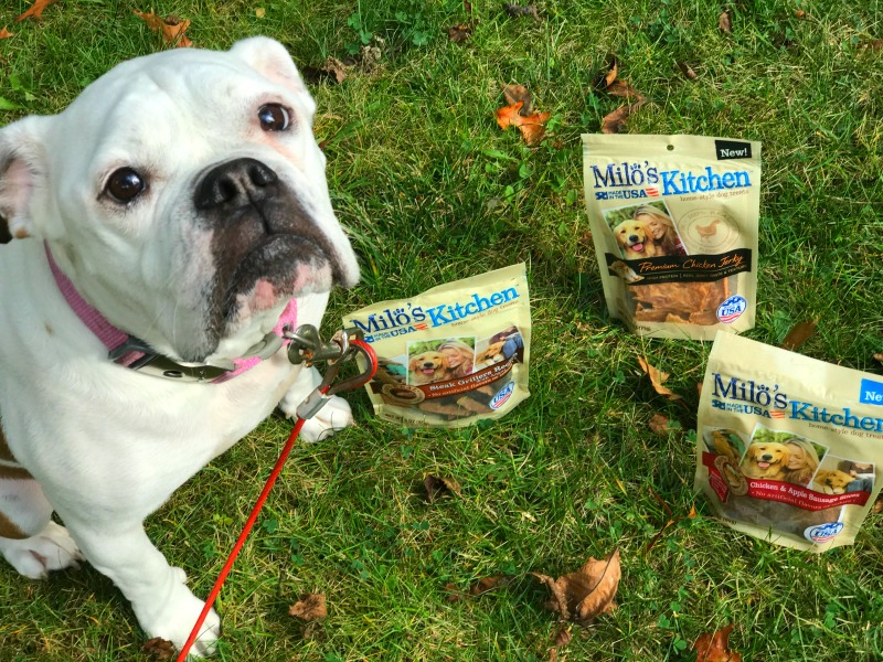 milo's kitchen, homestyle dog treats, fur baby, pet owner, pet parent