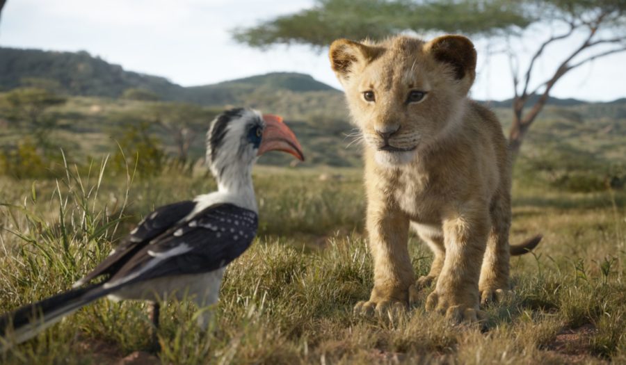Disney's the Lion King, LIve action movie, Disney Movie, The Lion King, The Lion King Trailer, Disney Studios