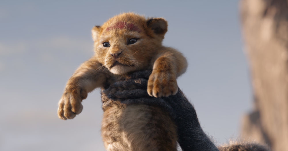 Disney's the Lion King, LIve action movie, Disney Movie, The Lion King, The Lion King Trailer, Disney Studios