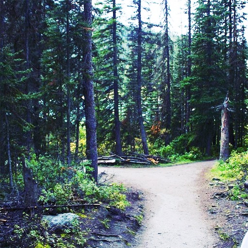 Earth Day, Earth Day 2019, Earth Day tips for how to raise envirnmentally aware, Things to do in Banff with Teenagers, traveling with teens, travel Tuesday, Banff, Alberta, visit Canada, Visit Alberta, Things to do in Banff with Teenagers and tweens, family travel